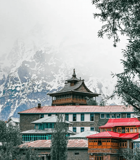 Untitled design (76) (1)