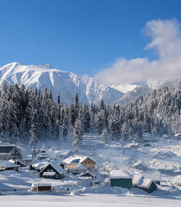 Untitled design (78) (1)