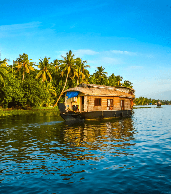 Untitled design (81) (1)