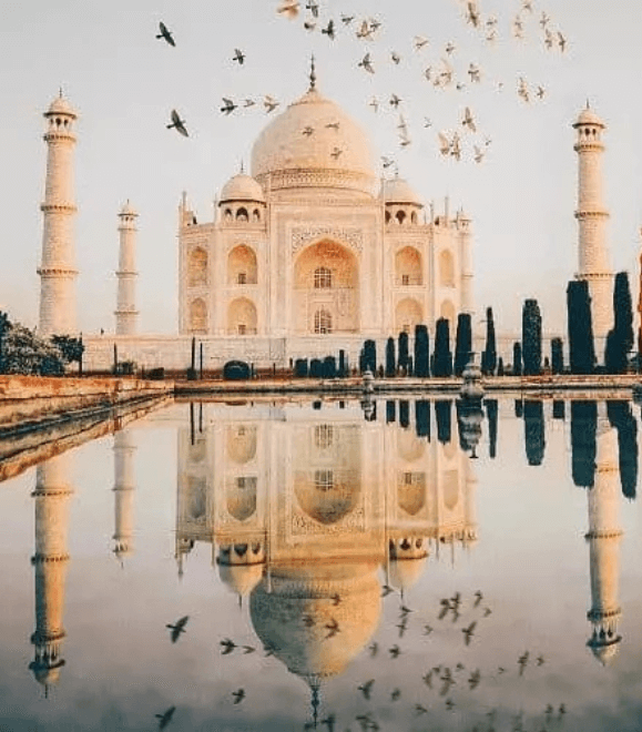 Untitled design (84) (1)